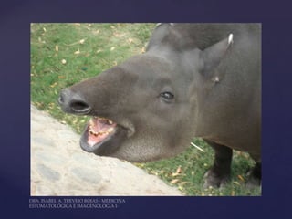 1 historia c lx  clase