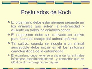 14
Postulados de Koch
El organismo debe estar siempre presente en
los animales que sufren la enfermedad y
ausente en todos los animales sanos
El organismo debe ser cultivado en cultivo
puro fuera del cuerpo del animal enfermo
Tal cultivo, cuando se inocula a un animal
susceptible debe iniciar en él los síntomas
característicos de la enfermedad
El organismo debe volverse a aislar de los animales
infectados experimentalmente y demostrar que es
idéntico al microorganismo original
 