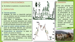  Se dedican al pastoreo y la pesca lacustre.
 Técnicas agrícolas:
 Andenes: Se logra un desarrollo agrícola:
uso de andenes, que son terrazas de cultivo
cuyo material es la piedra.
 Waru Waru o camellones: Estos eran
montículos de tierras separados por zanjas
de agua que absorbían el calor solar durante
el día para liberarlo durante la noche fría
 Crean el control vertical ecológico, que son
pisos de diferentes altitudes, que permiten
obtener gran variedad de productos.
 Conservación de alimentos: la papa en
chuño y la carne en charqui.
 Cultivos. Sembraron tubérculos como la
papa, oca, olluco, quinua y cañihua, debido
a que eran muy resistentes a las duras
condiciones climáticas.
 Fue otra actividad de
importancia al hacer
uso de los auquénidos
(llamas y alpacas) que
se alimentaban de los
pastos de la puna. Se
pudo obtener de estos
su carne y lana, así
como utilizarlos como
animales de carga y
también aprovechar su
excremento como
abono.
 