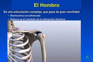El Hombro
Es una articulación compleja, que goza de gran movilidad
+ Biomecánica es sofisticada
+ Balance es el resultado de la interacción dinámica
 