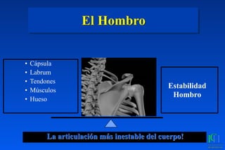 El Hombro
• Cápsula
• Labrum
• Tendones
• Músculos
• Hueso
La articulación más inestable del cuerpo!
Estabilidad
Hombro
 