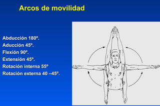 Abducción 180º.
Aducción 45º.
Flexión 90º.
Extensión 45º.
Rotación interna 55º
Rotación externa 40 –45º.
Arcos de movilidad
 