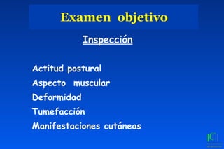 Examen objetivo
Inspección
Actitud postural
Aspecto muscular
Deformidad
Tumefacción
Manifestaciones cutáneas
 