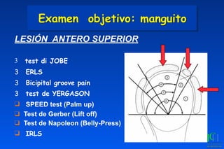 Examen objetivo: manguito
LESIÓN ANTERO SUPERIOR
3 test di JOBE
3 ERLS
3 Bicipital groove pain
3 test de YERGASON
❑ SPEED test (Palm up)
❑ Test de Gerber (Lift off)
❑ Test de Napoleon (Belly-Press)
❑ IRLS
 