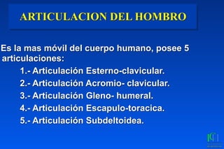 ARTICULACION DEL HOMBRO
Es la mas móvil del cuerpo humano, posee 5
articulaciones:
1.- Articulación Esterno-clavicular.
2.- Articulación Acromio- clavicular.
3.- Articulación Gleno- humeral.
4.- Articulación Escapulo-toracica.
5.- Articulación Subdeltoidea.
 