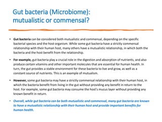 Gut bacteria (Microbiome):
mutualistic or commensal?
• Gut bacteria can be considered both mutualistic and commensal, depending on the specific
bacterial species and the host organism. While some gut bacteria have a strictly commensal
relationship with their human host, many others have a mutualistic relationship, in which both the
bacteria and the host benefit from the relationship.
• For example, gut bacteria play a crucial role in the digestion and absorption of nutrients, and also
produce certain vitamins and other important molecules that are essential for human health. In
turn, the gut provides a stable environment for these bacteria to live and grow, as well as a
constant source of nutrients. This is an example of mutualism.
• However, some gut bacteria may have a strictly commensal relationship with their human host, in
which the bacteria benefit from living in the gut without providing any benefit in return to the
host. For example, some gut bacteria may consume the host's mucus layer without providing any
known benefit in return.
• Overall, while gut bacteria can be both mutualistic and commensal, many gut bacteria are known
to have a mutualistic relationship with their human host and provide important benefits for
human health.
 