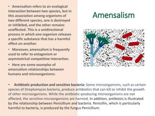 Amensalism
• Amensalism refers to an ecological
interaction between two species, but in
this association among organisms of
two different species, one is destroyed
or inhibited, and the other remains
unaffected. This is a unidirectional
process in which one organism releases
a specific substance that has a harmful
effect on another.
• Moreover, amensalism is frequently
used to refer to antagonism or
asymmetrical competitive interaction.
• Here are some examples of
amensalism relationships between
humans and microorganisms:
• Antibiotic production and sensitive bacteria: Some microorganisms, such as certain
species of Streptomyces bacteria, produce antibiotics that can kill or inhibit the growth
of other microorganisms. While the antibiotic-producing microorganisms are not
affected, the sensitive microorganisms are harmed. In addition, antibiosis is illustrated
by the relationship between Penicillium and bacteria. Penicillin, which is particularly
harmful to bacteria, is produced by the fungus Penicillium.
 