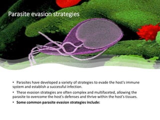 Parasite evasion strategies
• Parasites have developed a variety of strategies to evade the host's immune
system and establish a successful infection.
• These evasion strategies are often complex and multifaceted, allowing the
parasite to overcome the host's defenses and thrive within the host's tissues.
• Some common parasite evasion strategies include:
 