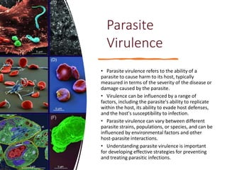 Parasite
Virulence
• Parasite virulence refers to the ability of a
parasite to cause harm to its host, typically
measured in terms of the severity of the disease or
damage caused by the parasite.
• Virulence can be influenced by a range of
factors, including the parasite's ability to replicate
within the host, its ability to evade host defenses,
and the host's susceptibility to infection.
• Parasite virulence can vary between different
parasite strains, populations, or species, and can be
influenced by environmental factors and other
host-parasite interactions.
• Understanding parasite virulence is important
for developing effective strategies for preventing
and treating parasitic infections.
 