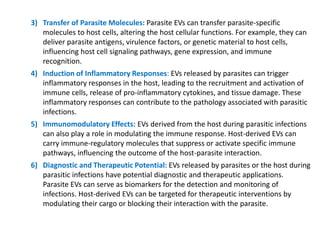 3) Transfer of Parasite Molecules: Parasite EVs can transfer parasite-specific
molecules to host cells, altering the host cellular functions. For example, they can
deliver parasite antigens, virulence factors, or genetic material to host cells,
influencing host cell signaling pathways, gene expression, and immune
recognition.
4) Induction of Inflammatory Responses: EVs released by parasites can trigger
inflammatory responses in the host, leading to the recruitment and activation of
immune cells, release of pro-inflammatory cytokines, and tissue damage. These
inflammatory responses can contribute to the pathology associated with parasitic
infections.
5) Immunomodulatory Effects: EVs derived from the host during parasitic infections
can also play a role in modulating the immune response. Host-derived EVs can
carry immune-regulatory molecules that suppress or activate specific immune
pathways, influencing the outcome of the host-parasite interaction.
6) Diagnostic and Therapeutic Potential: EVs released by parasites or the host during
parasitic infections have potential diagnostic and therapeutic applications.
Parasite EVs can serve as biomarkers for the detection and monitoring of
infections. Host-derived EVs can be targeted for therapeutic interventions by
modulating their cargo or blocking their interaction with the parasite.
 