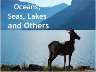 Oceans,
Seas, Lakes

and Others

 