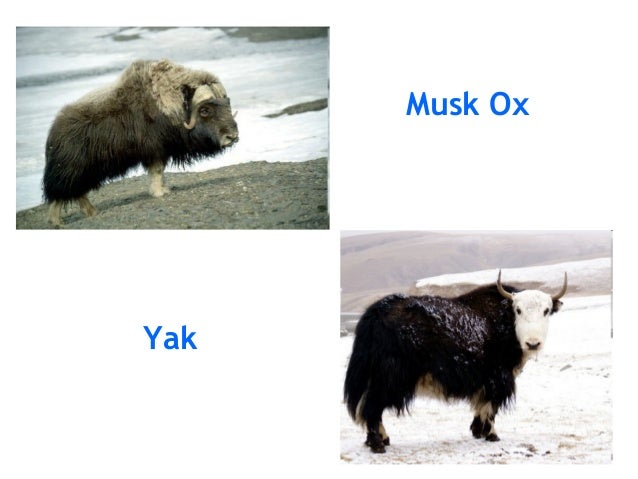 1 hrly gs ch 05 deserts