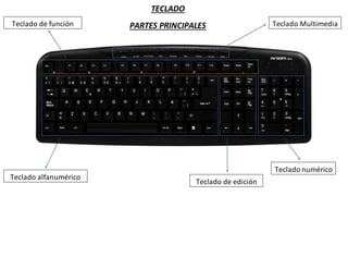 Teclado MultimediaTeclado de función
Teclado alfanumérico
Teclado de edición
Teclado numérico
TECLADO
PARTES PRINCIPALES
 