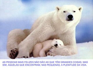 AS PESSOAS MAIS FELIZES NÃO SÃO AS QUE TÊM GRANDES COISAS, MAS
SIM, AQUELAS QUE ENCONTRAM, NAS PEQUENAS, A PLENITUDE DA VIDA.
 