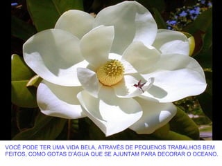 VOCÊ PODE TER UMA VIDA BELA, ATRAVÉS DE PEQUENOS TRABALHOS BEM
FEITOS, COMO GOTAS D’ÁGUA QUE SE AJUNTAM PARA DECORAR O OCEANO.
 