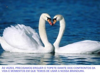 ÀS VEZES, PRECISAMOS ERGUER O TOPETE DIANTE DOS CONFRONTOS DA
VIDA E MOMENTOS EM QUE TEMOS DE USAR A NOSSA BRANDURA.
 