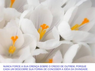 NUNCA FORCE A SUA CRENÇA SOBRE O CREDO DE OUTREM, PORQUE
CADA UM DESCOBRE SUA FORMA DE CONCEBER A IDÉIA DA DIVINDADE.
 