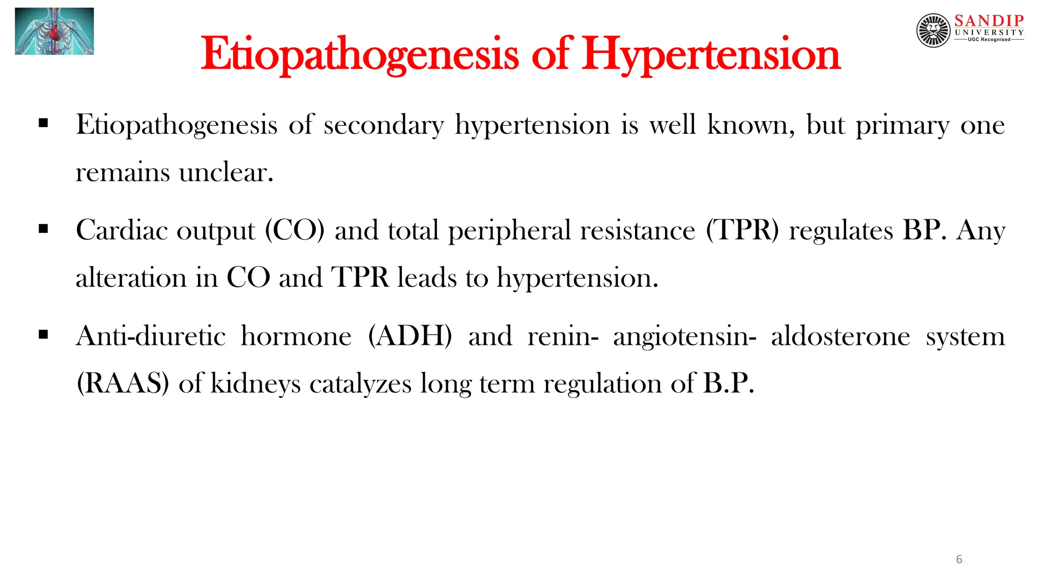 Cardiovascular Pathophysiology- Hypertension | PDF