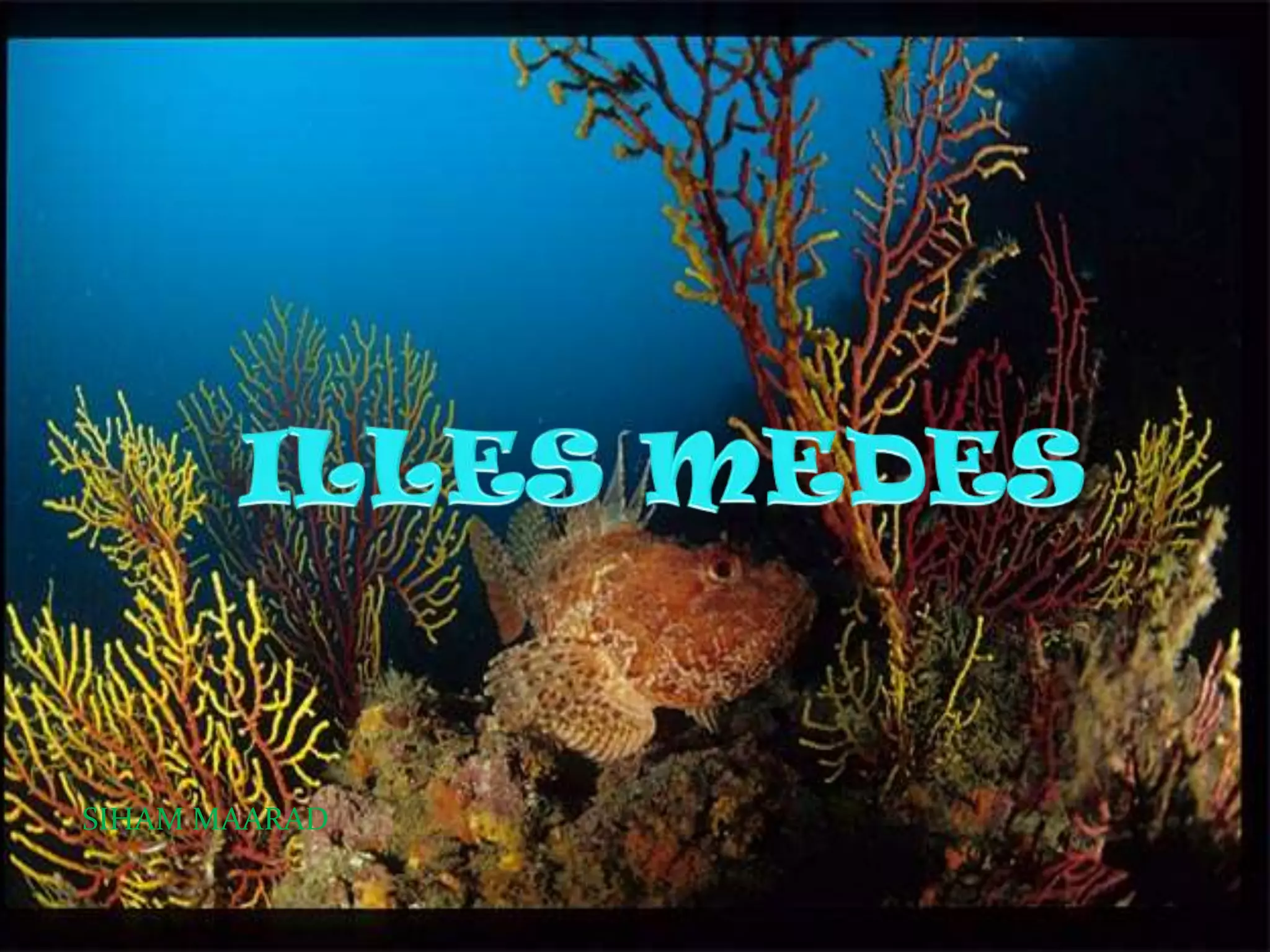 ILLES MEDESSIHAM MAARAD