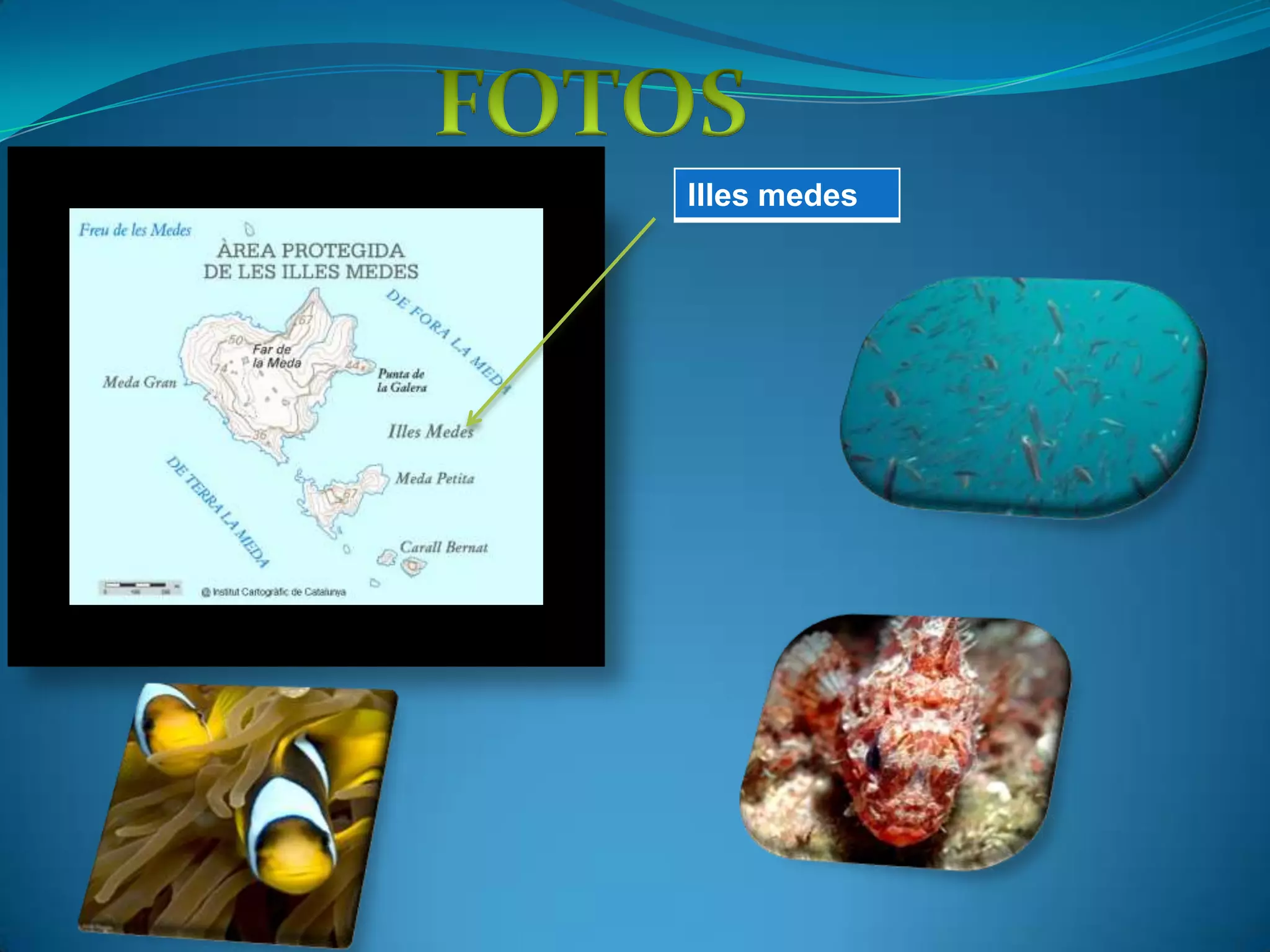 CLIMALa conca mediterrània es caracteritza per un clima amb temperatures moderades i unes pluges no gaire abundants que es concentren a la tardor i a la primavera. Els estius solen ser especialment càlids i secs. Els hiverns no solen ser especialment freds ni humits.Un tret típic del clima mediterrani és la seva irregularitat, sobretot per la  pluja que és poc predictible. Són freqüents els períodes llargs de sequera i les precipitacions molt intenses que són fins i tot més freqüents que a les zones de clima més humit. A la Mediterrània es pot passar d’una sequera a una inundació.   