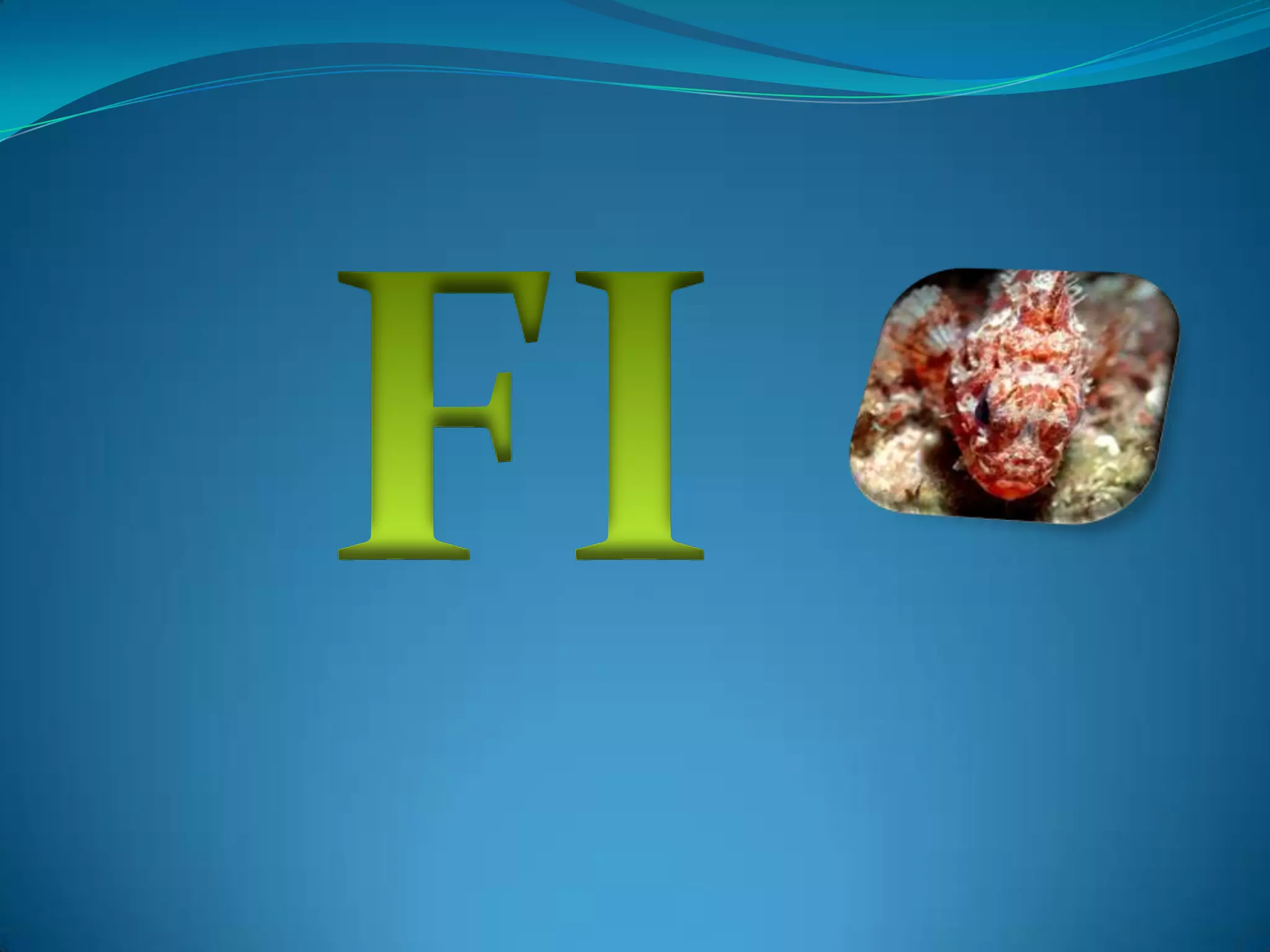 Hitrobemalgues, posidònia, corall, peixos diversos (anfós, o nero, per exemple, que potatènyer un metre de llargària), crancs, estrelles de mar, llagostes, pops....