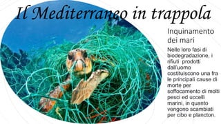 Inquinamento
dei mari
Nelle loro fasi di
biodegradazione, i
rifiuti prodotti
dall’uomo
costituiscono una fra
le principali cause di
morte per
soffocamento di molti
pesci ed uccelli
marini, in quanto
vengono scambiati
per cibo e plancton.
Il Mediterraneo in trappola
 