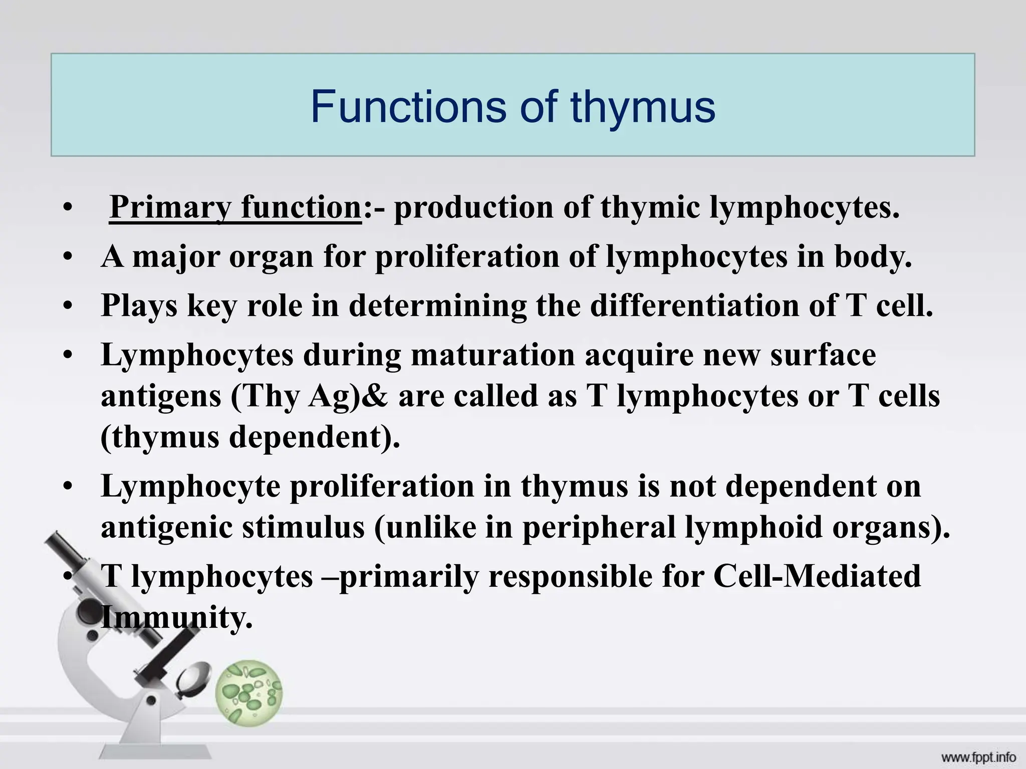 • Primary function:- production of thymic lymphocytes.
• A major organ for proliferation of lymphocytes in body.
• Plays key role in determining the differentiation of T cell.
• Lymphocytes during maturation acquire new surface
antigens (Thy Ag)& are called as T lymphocytes or T cells
(thymus dependent).
• Lymphocyte proliferation in thymus is not dependent on
antigenic stimulus (unlike in peripheral lymphoid organs).
• T lymphocytes –primarily responsible for Cell-Mediated
Immunity.
Functions of thymus
 