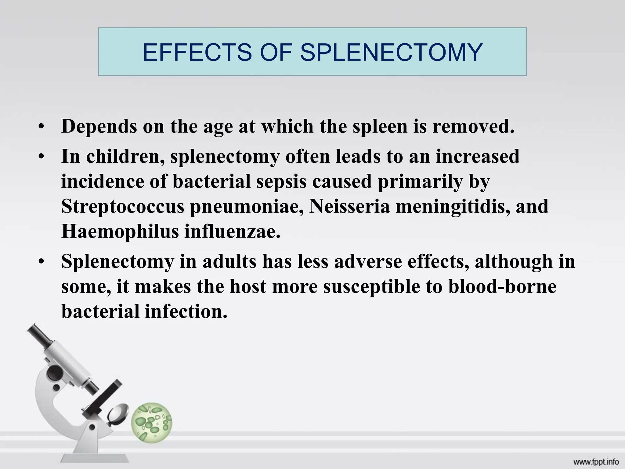• Depends on the age at which the spleen is removed.
• In children, splenectomy often leads to an increased
incidence of bacterial sepsis caused primarily by
Streptococcus pneumoniae, Neisseria meningitidis, and
Haemophilus influenzae.
• Splenectomy in adults has less adverse effects, although in
some, it makes the host more susceptible to blood-borne
bacterial infection.
EFFECTS OF SPLENECTOMY
 