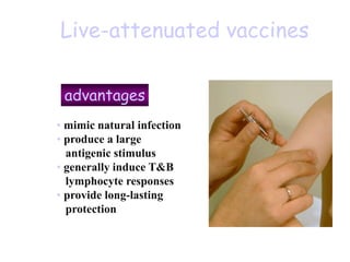 Live-attenuated vaccines
advantages
• mimic natural infection
• produce a large
antigenic stimulus
• generally induce T&B
lymphocyte responses
• provide long-lasting
protection
 