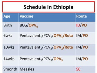 Schedule in Ethiopia
Age Vaccine Route
Birth BCG/OPV0 ID/PO
6wks Pentavalent1/PCV1/OPV1/Rota IM/PO
10wks Pentavalent2/PCV2/OPV2/Rota IM/PO
14wks Pentavalent3/PCV3/OPV3 IM/PO
9month Measles SC
 
