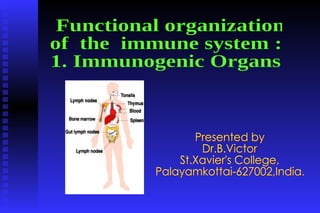 Presented by Dr.B.Victor St.Xavier's College,  Palayamkottai-627002,India. Functional organization  of  the  immune system :  1. Immunogenic Organs  
