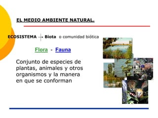 EL MEDIO AMBIENTE NATURAL.
ECOSISTEMA Biota o comunidad biótica
Conjunto de especies de
plantas, animales y otros
organismos y la manera
en que se conforman
Flora - Fauna
 