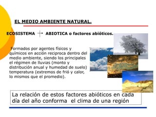 EL MEDIO AMBIENTE NATURAL.
ECOSISTEMA ABIOTICA o factores abióticos.
Formados por agentes físicos y
químicos en acción reciproca dentro del
medio ambiente, siendo los principales
el régimen de lluvias (monto y
distribución anual y humedad de suelo)
temperatura (extremos de frió y calor,
lo mismos que el promedio).
La relación de estos factores abióticos en cada
día del año conforma el clima de una región
 