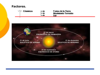 Factores.
 