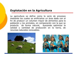 Explotación en la Agricultura
La agricultura se define como la serie de procesos
mediante los cuales se artificializa un área dada con el
fin de producir un volumen mayor de alimentos para la
población y los animales, en comparación con la que se
producía de forma natural, buscando optimizar la
calidad y cantidad de producción en la tierra, de
recursos naturales renovables.
 