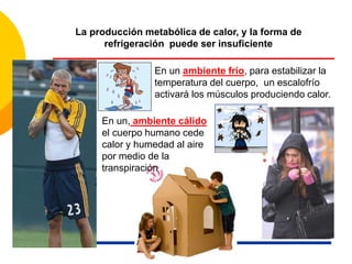 En un ambiente frío, para estabilizar la
temperatura del cuerpo, un escalofrío
activará los músculos produciendo calor.
En un, ambiente cálido
el cuerpo humano cede
calor y humedad al aire
por medio de la
transpiración
La producción metabólica de calor, y la forma de
refrigeración puede ser insuficiente
 