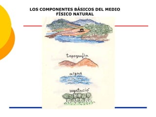 LOS COMPONENTES BÁSICOS DEL MEDIO
FÍSICO NATURAL
 