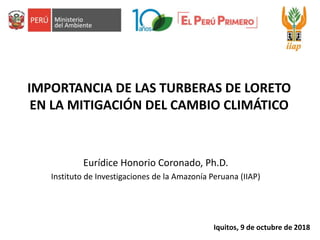 IMPORTANCIA DE LAS TURBERAS DE LORETO
EN LA MITIGACIÓN DEL CAMBIO CLIMÁTICO
Eurídice Honorio Coronado, Ph.D.
Instituto de Investigaciones de la Amazonía Peruana (IIAP)
Iquitos, 9 de octubre de 2018
 