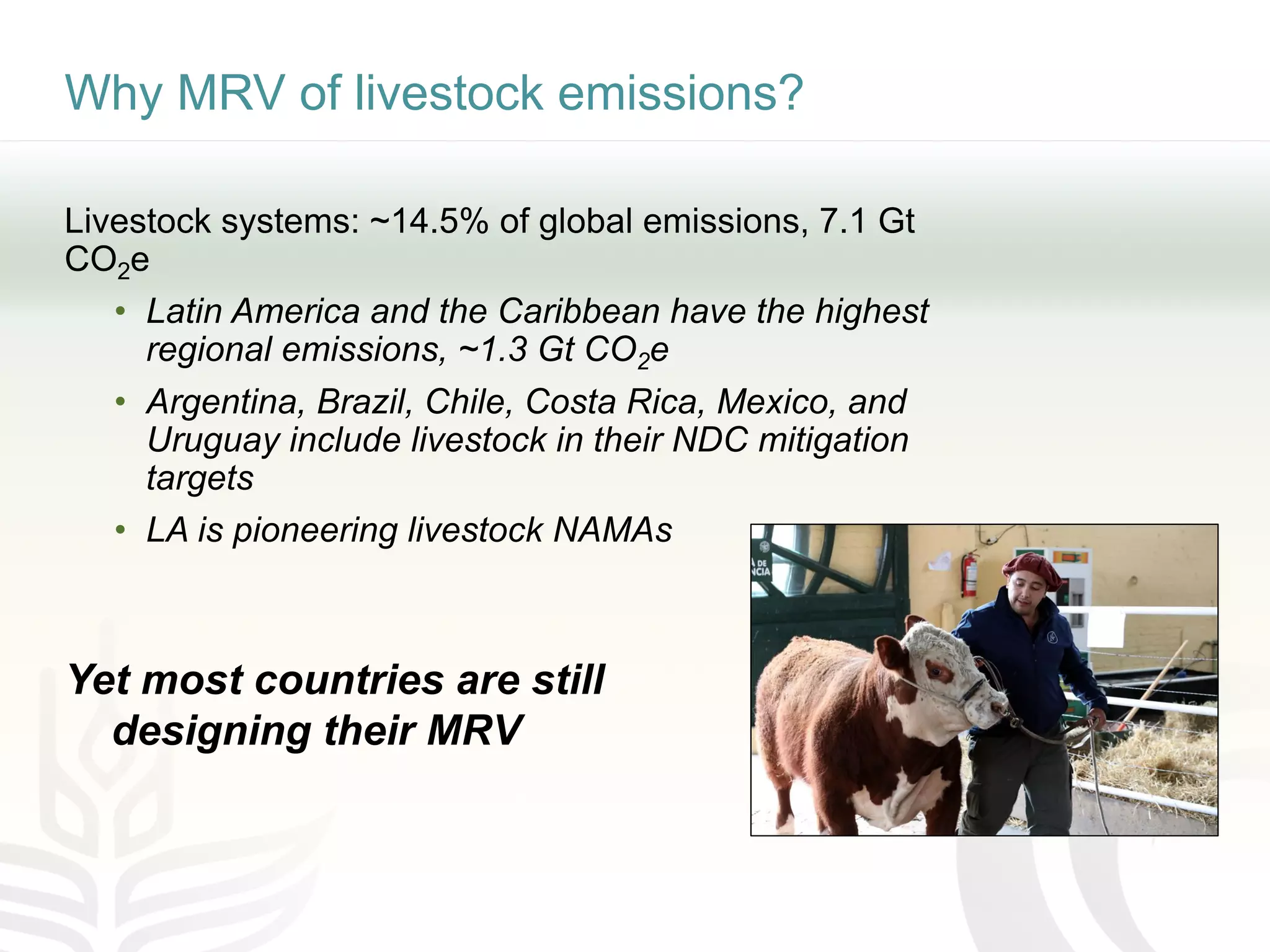 Why MRV of livestock emissions?
Livestock systems: ~14.5% of global emissions, 7.1 Gt
CO2e
• Latin America and the Caribbean have the highest
regional emissions, ~1.3 Gt CO2e
• Argentina, Brazil, Chile, Costa Rica, Mexico, and
Uruguay include livestock in their NDC mitigation
targets
• LA is pioneering livestock NAMAs
Yet most countries are still
designing their MRV
 