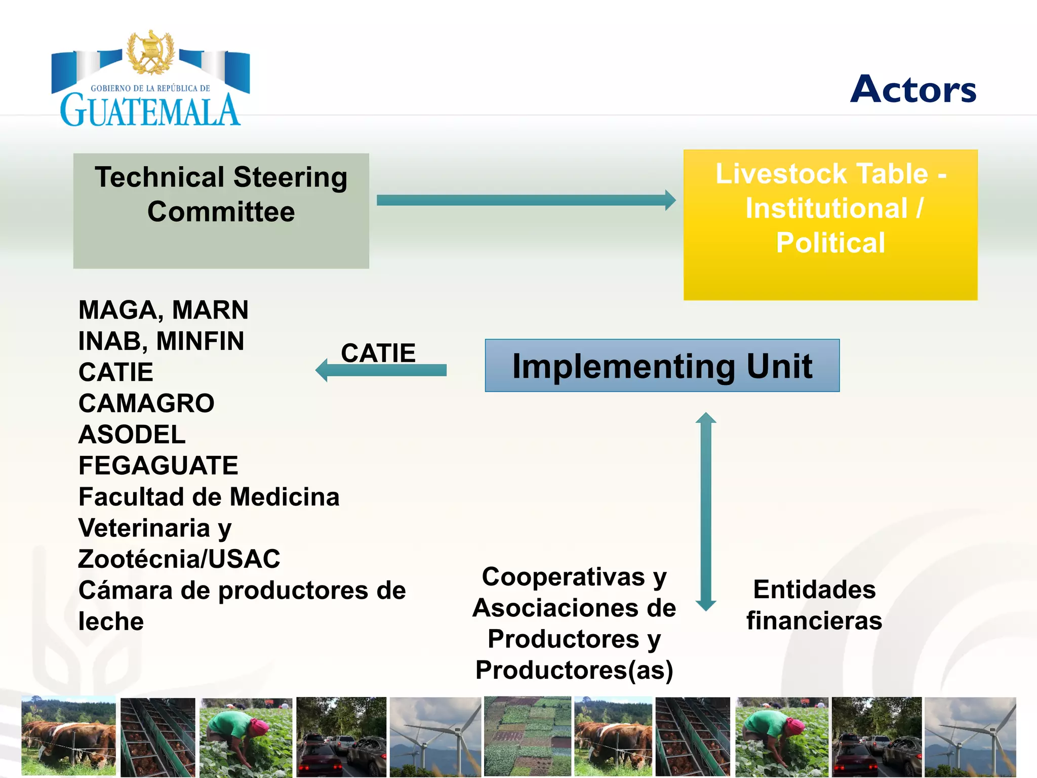 Actors
MAGA, MARN
INAB, MINFIN
CATIE
CAMAGRO
ASODEL
FEGAGUATE
Facultad de Medicina
Veterinaria y
Zootécnia/USAC
Cámara de productores de
leche
Technical Steering
Committee
Implementing Unit
Livestock Table -
Institutional /
Political
Cooperativas y
Asociaciones de
Productores y
Productores(as)
CATIE
Entidades
financieras
 