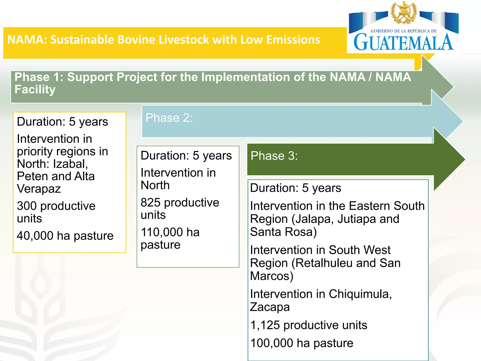 NAMA: Sustainable Bovine Livestock with Low Emissions
Phase 1: Support Project for the Implementation of the NAMA / NAMA
Facility
Duration: 5 years
Intervention in
priority regions in
North: Izabal,
Peten and Alta
Verapaz
300 productive
units
40,000 ha pasture
Phase 2:
Duration: 5 years
Intervention in
North
825 productive
units
110,000 ha
pasture
Phase 3:
Duration: 5 years
Intervention in the Eastern South
Region (Jalapa, Jutiapa and
Santa Rosa)
Intervention in South West
Region (Retalhuleu and San
Marcos)
Intervention in Chiquimula,
Zacapa
1,125 productive units
100,000 ha pasture
 