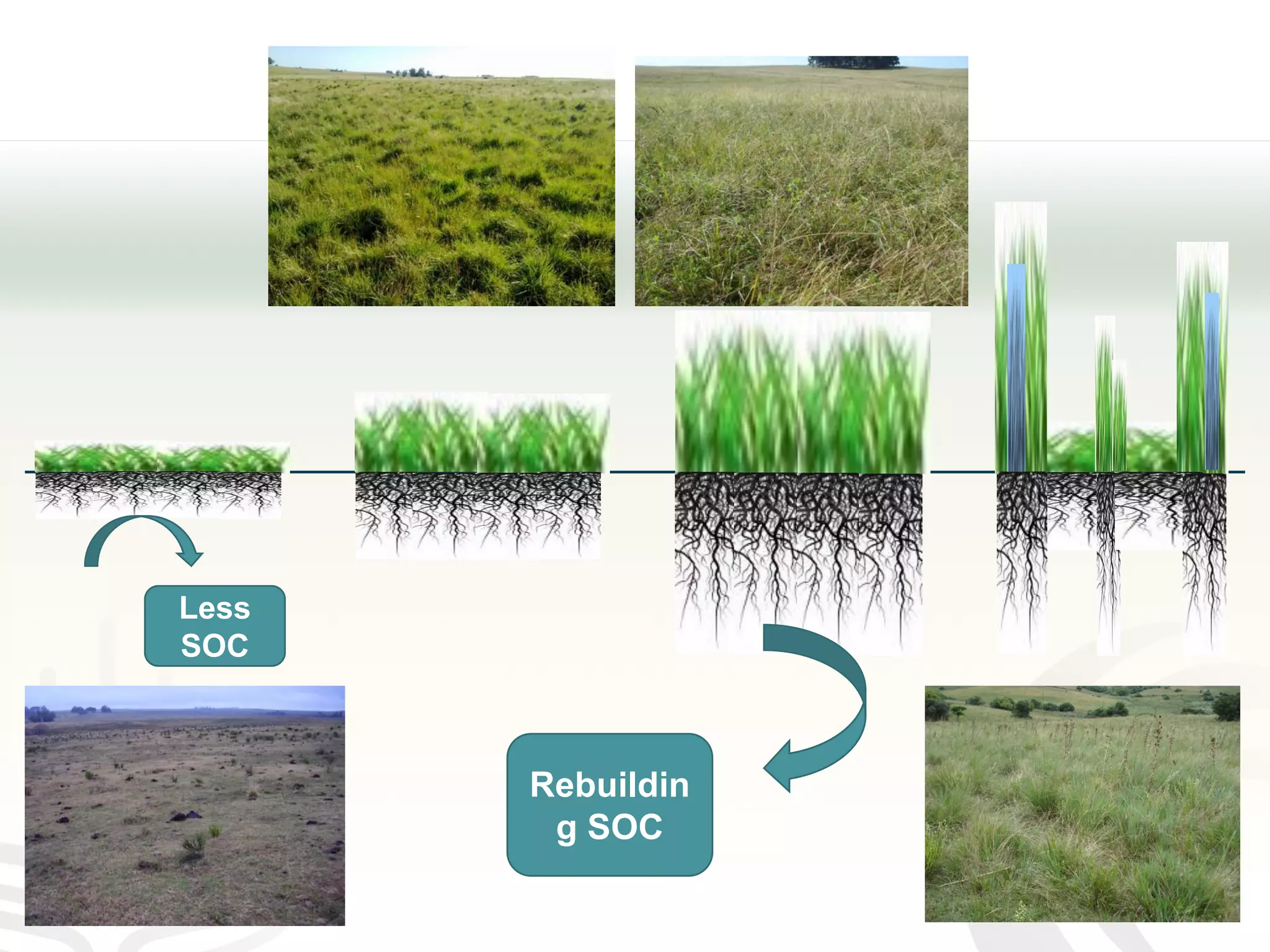 Rebuildin
g SOC
Less
SOC
 