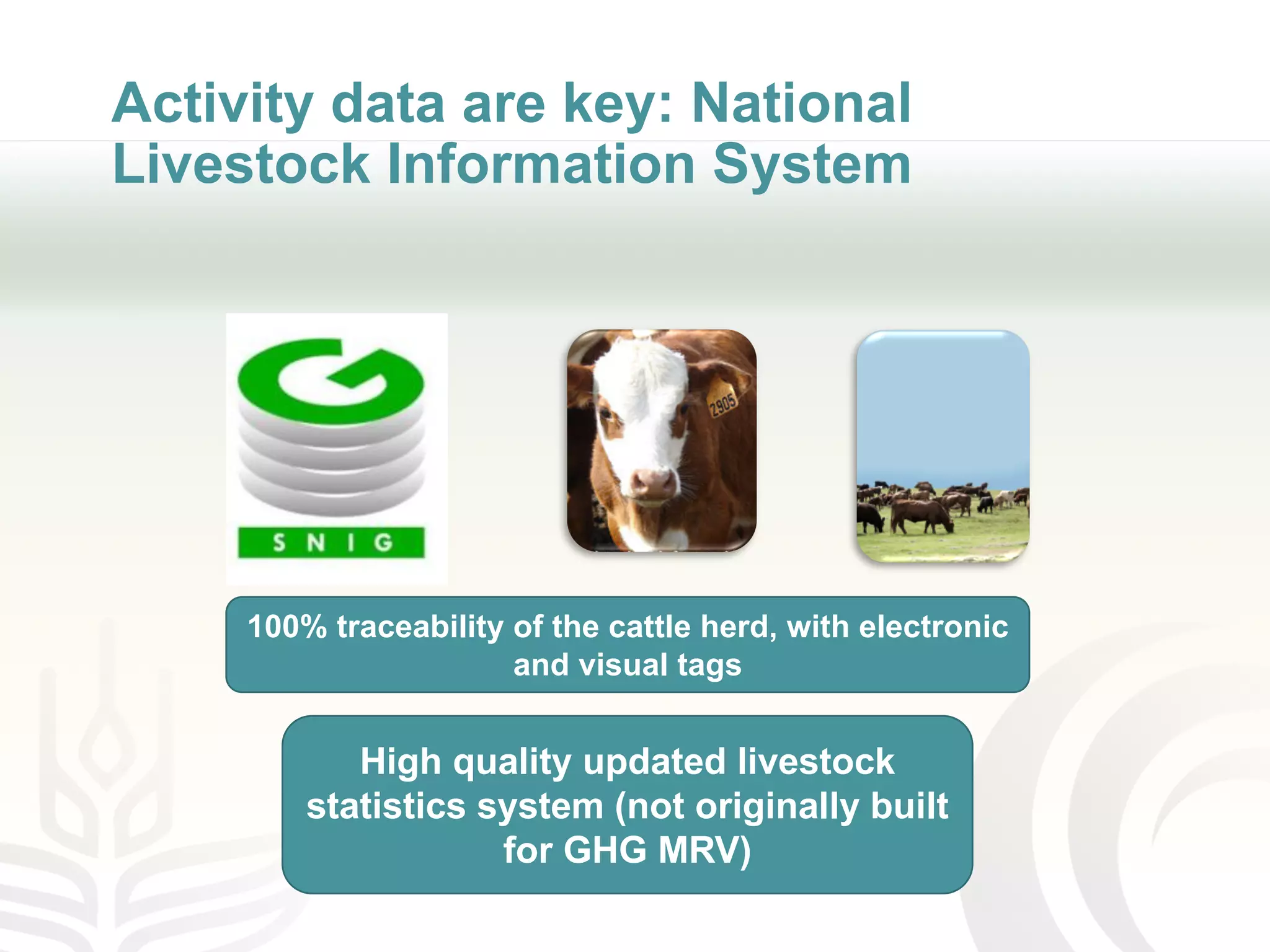 Activity data are key: National
Livestock Information System
High quality updated livestock
statistics system (not originally built
for GHG MRV)
100% traceability of the cattle herd, with electronic
and visual tags
 