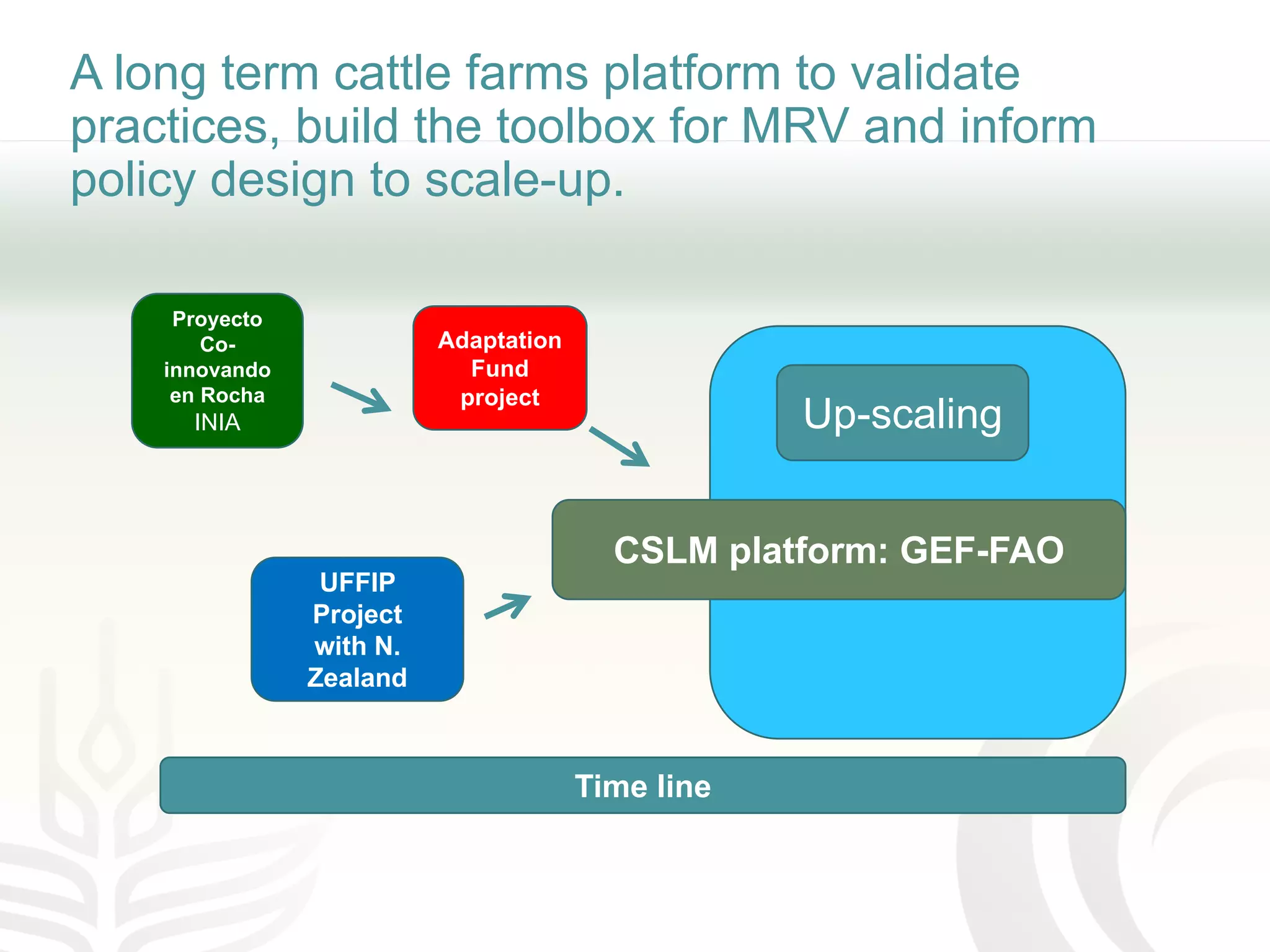 A long term cattle farms platform to validate
practices, build the toolbox for MRV and inform
policy design to scale-up.
Proyecto
Co-
innovando
en Rocha
INIA
Adaptation
Fund
project
CSLM platform: GEF-FAO
UFFIP
Project
with N.
Zealand
Time line
Up-scaling
 
