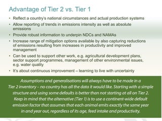Improving transparency: Implementing MRV of livestock NAMAS to meet NDC and finance needs
