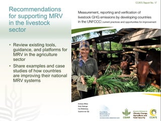Improving transparency: Implementing MRV of livestock NAMAS to meet NDC and finance needs