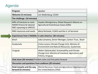 Improving transparency: Implementing MRV of livestock NAMAS to meet NDC and finance needs