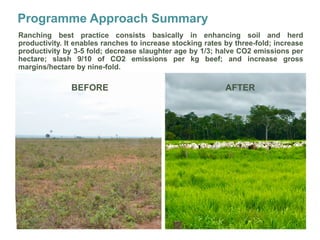 Improving transparency: Implementing MRV of livestock NAMAS to meet NDC and finance needs