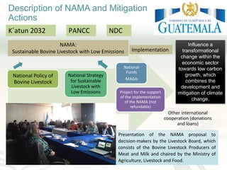 Improving transparency: Implementing MRV of livestock NAMAS to meet NDC and finance needs