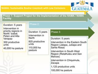 Improving transparency: Implementing MRV of livestock NAMAS to meet NDC and finance needs